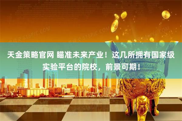 天金策略官网 瞄准未来产业！这几所拥有国家级实验平台的院校，前景可期！