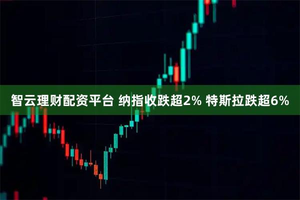 智云理财配资平台 纳指收跌超2% 特斯拉跌超6%