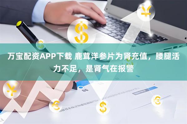 万宝配资APP下载 鹿茸洋参片为肾充值，腰腿活力不足，是肾气在报警